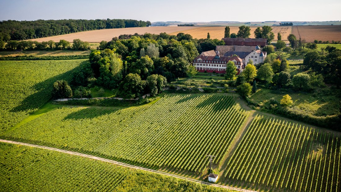 Ingelheimer Schloß Westerhaus Ingelheimer Schloß Westerhaus
