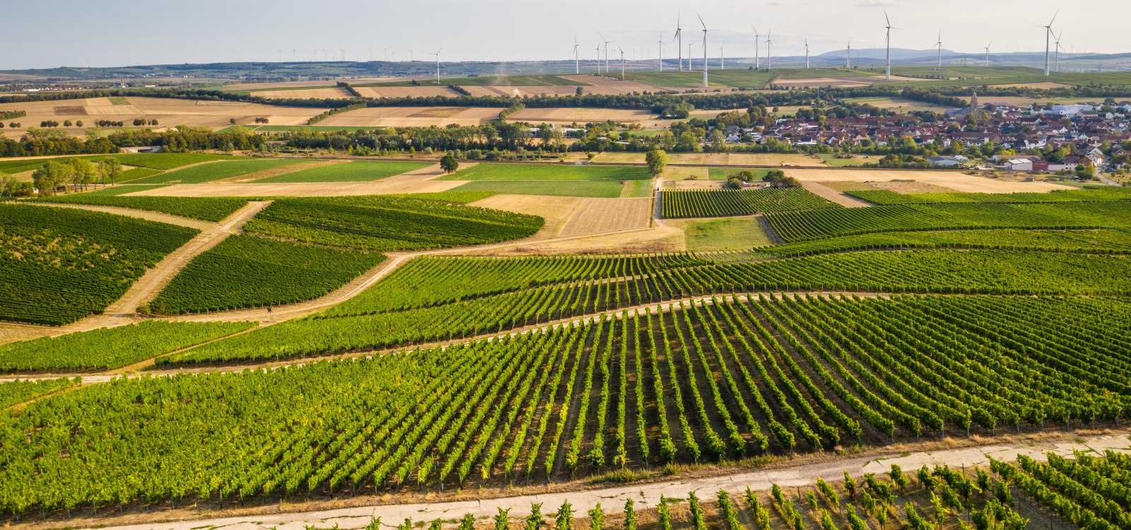 Rheinhessen-2020-519, © Dominik Ketz Rheinhessen-2020-519, © Dominik Ketz