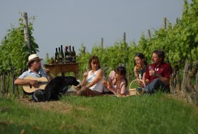 Weingut Schrauth-Becker Weingut Schrauth-Becker