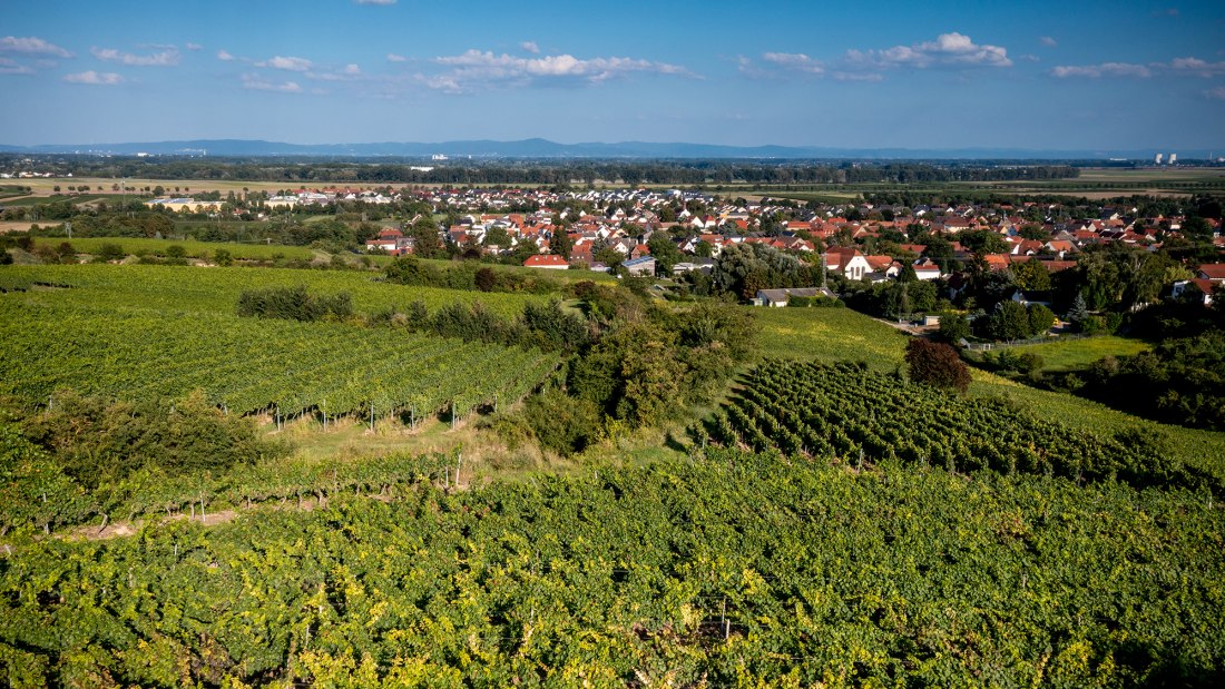 Alsheimer Frühmesse Alsheimer Frühmesse