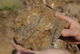 Tonmergel Pelosol © Landesamt für Geologie und Bergbau Rheinland-Pfalz Tonmergel Pelosol © Landesamt für Geologie und Bergbau Rheinland-Pfalz