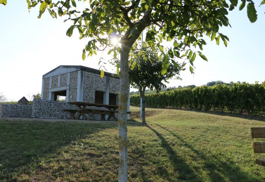 Gau-Weinheim, Tumrwinzerweg Gau-Weinheim, Tumrwinzerweg