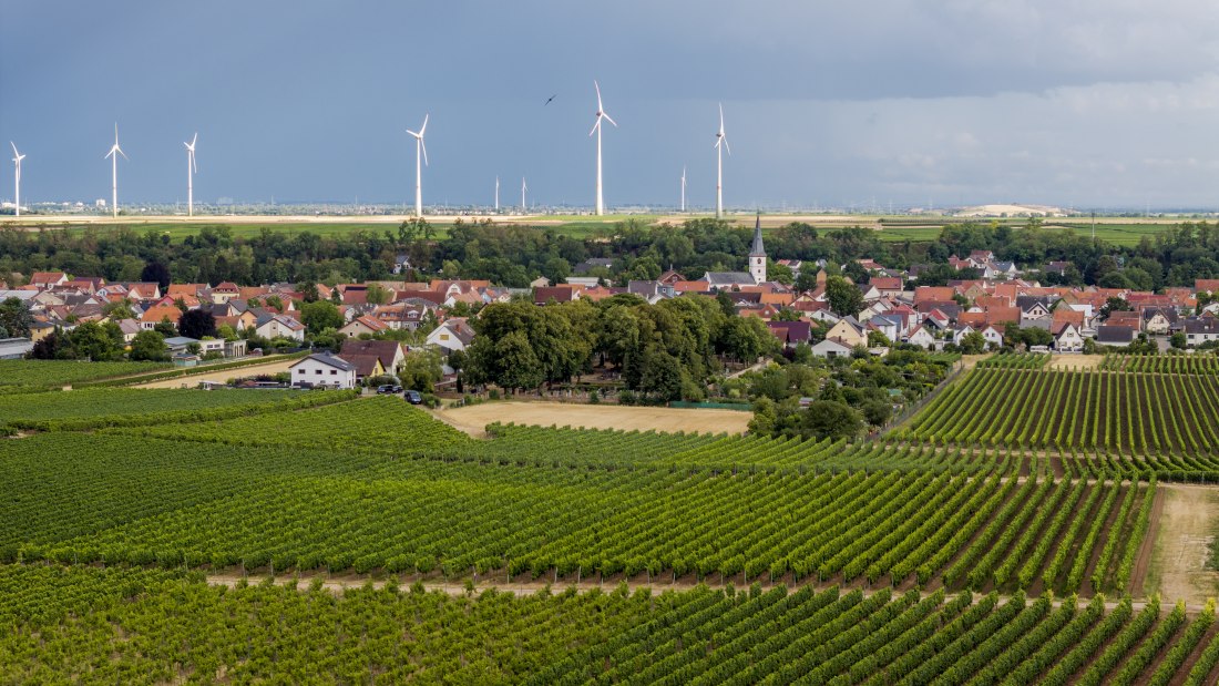 Heppenheimer Affenberg, © Torsten Silz Heppenheimer Affenberg, © Torsten Silz