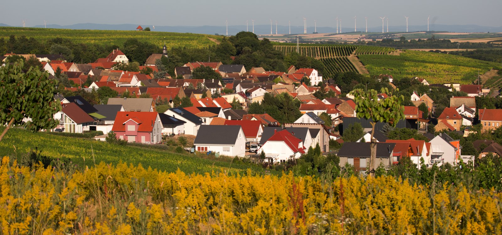 Ensheim, © Samuel Henrich Ensheim, © Samuel Henrich