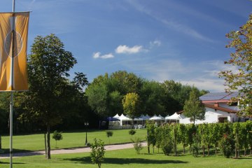 Weingut Fischborn Bergeshof_Garten, © Weingut Fischborn Bergeshof Weingut Fischborn Bergeshof_Garten, © Weingut Fischborn Bergeshof