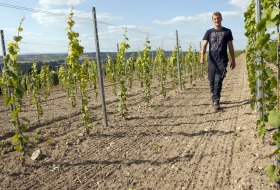 Weingut Bischofsmühle_Weinberg © Weingut Bischofsmühle Weingut Bischofsmühle_Weinberg © Weingut Bischofsmühle