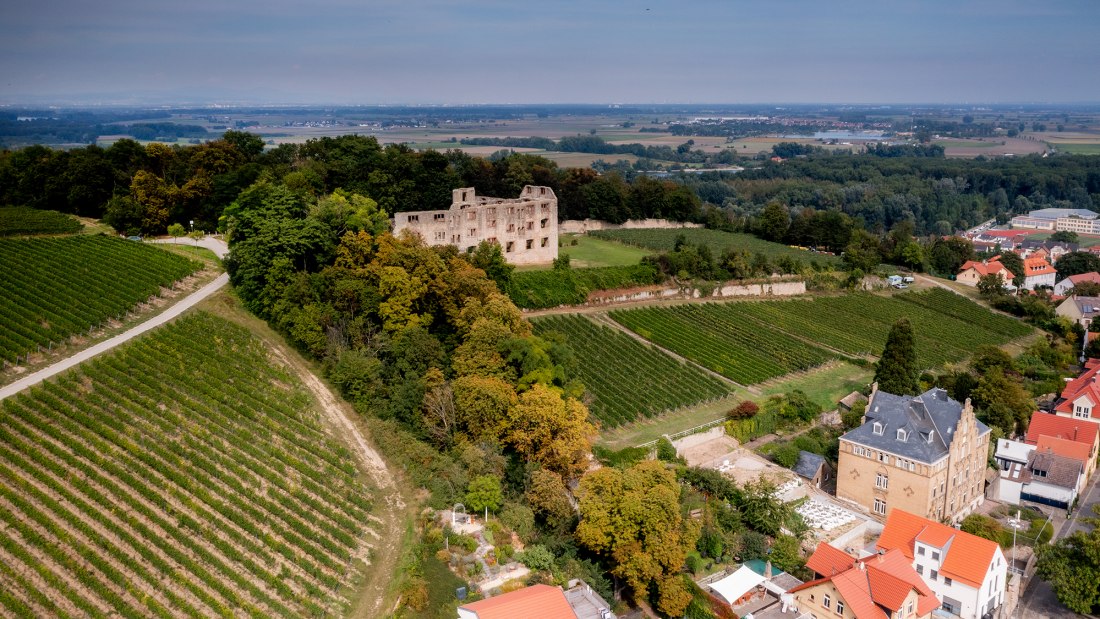 Oppenheimer Herrenberg Oppenheimer Herrenberg