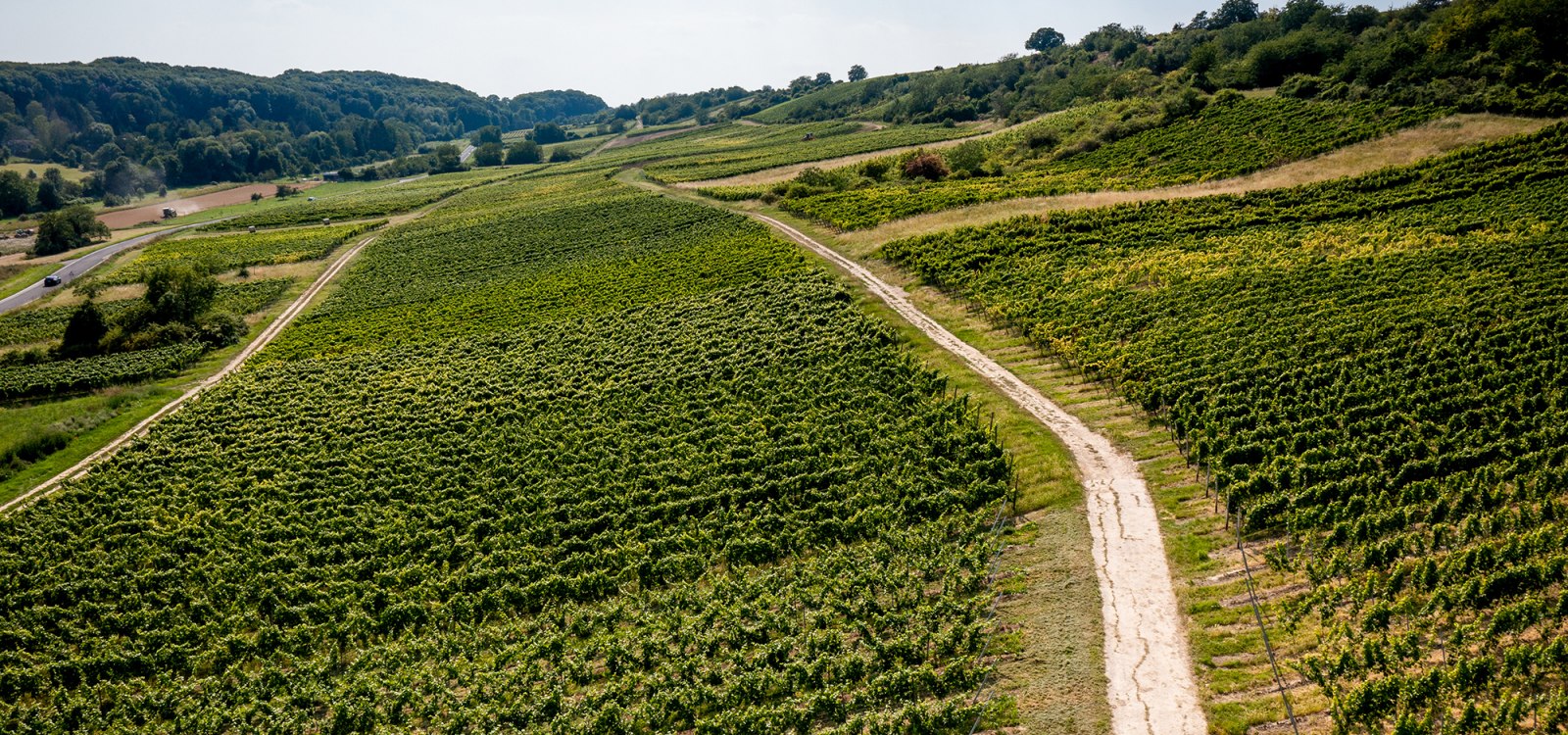 Jugenheimer Goldberg Jugenheimer Goldberg