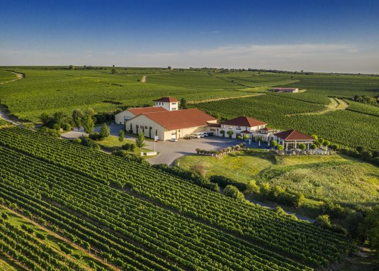 Weingut Raddeck Nierstein © Weingut Raddeck Weingut Raddeck Nierstein © Weingut Raddeck