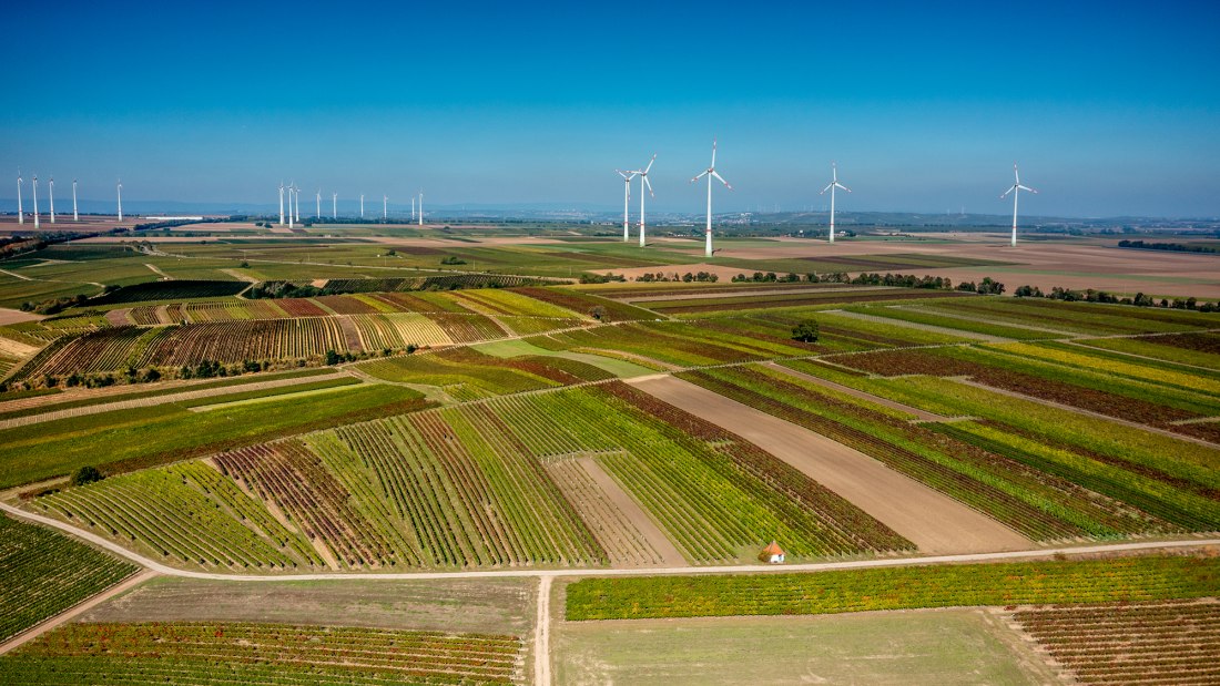 Biebelnheimer Rosengarten Biebelnheimer Rosengarten