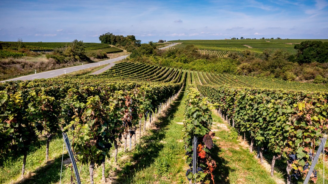 Heßlocher Liebfrauenberg Heßlocher Liebfrauenberg