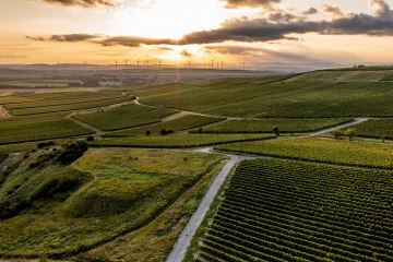Ensheimer Kachelberg Ensheimer Kachelberg