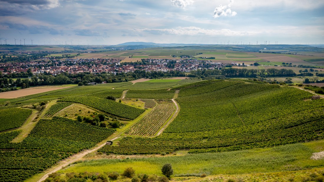 Gau-Odernheimer Herrgottspfad Gau-Odernheimer Herrgottspfad