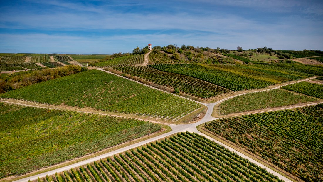 Elsheimer Blume Elsheimer Blume