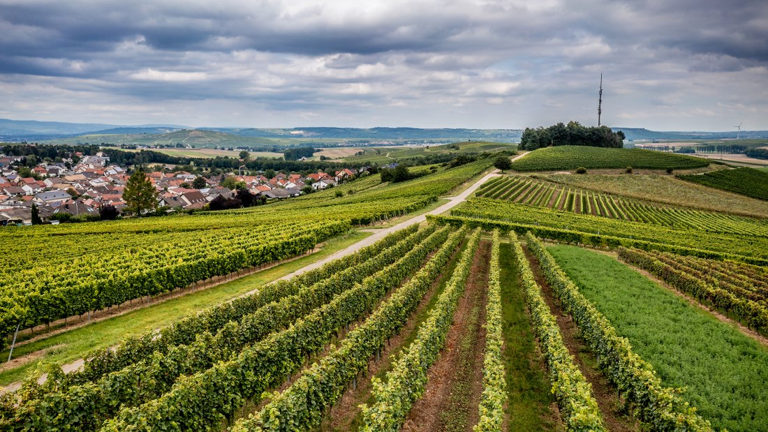 Hackenheimer Kirchberg Hackenheimer Kirchberg