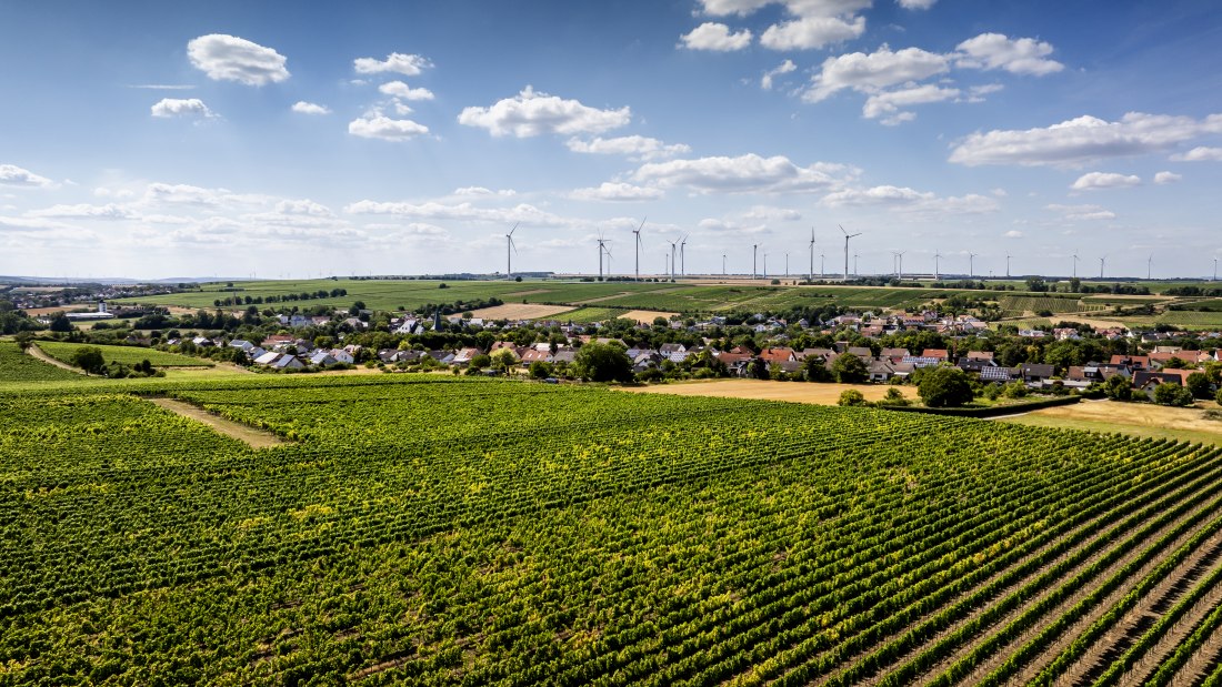 Bechtolsheimer Klosterberg, © Torsten Silz Bechtolsheimer Klosterberg, © Torsten Silz