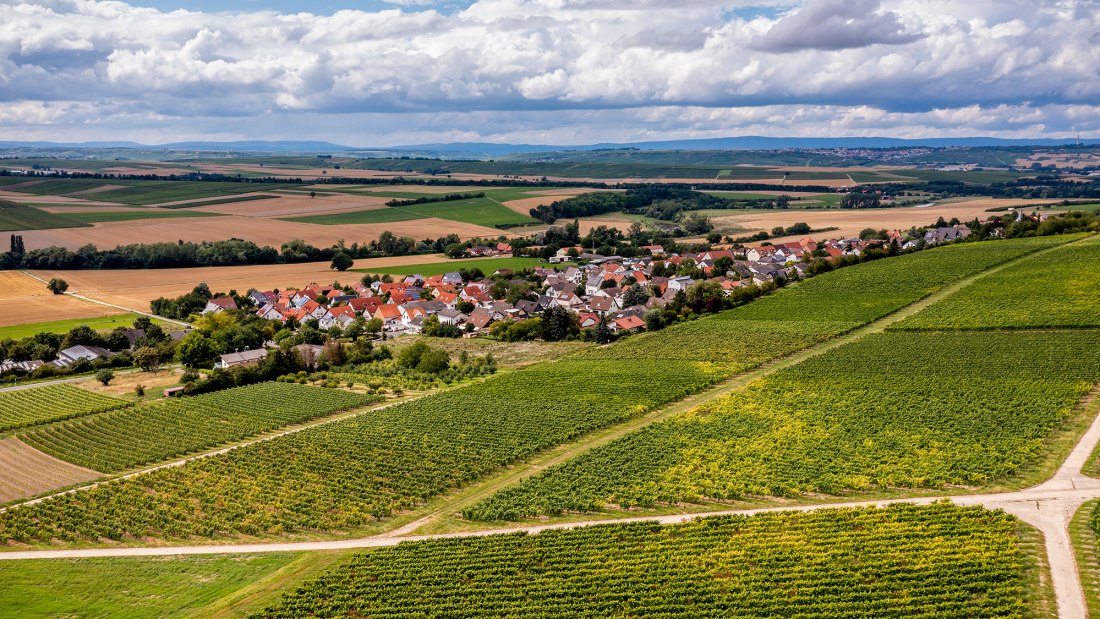 Sörgenlocher Moosberg Sörgenlocher Moosberg