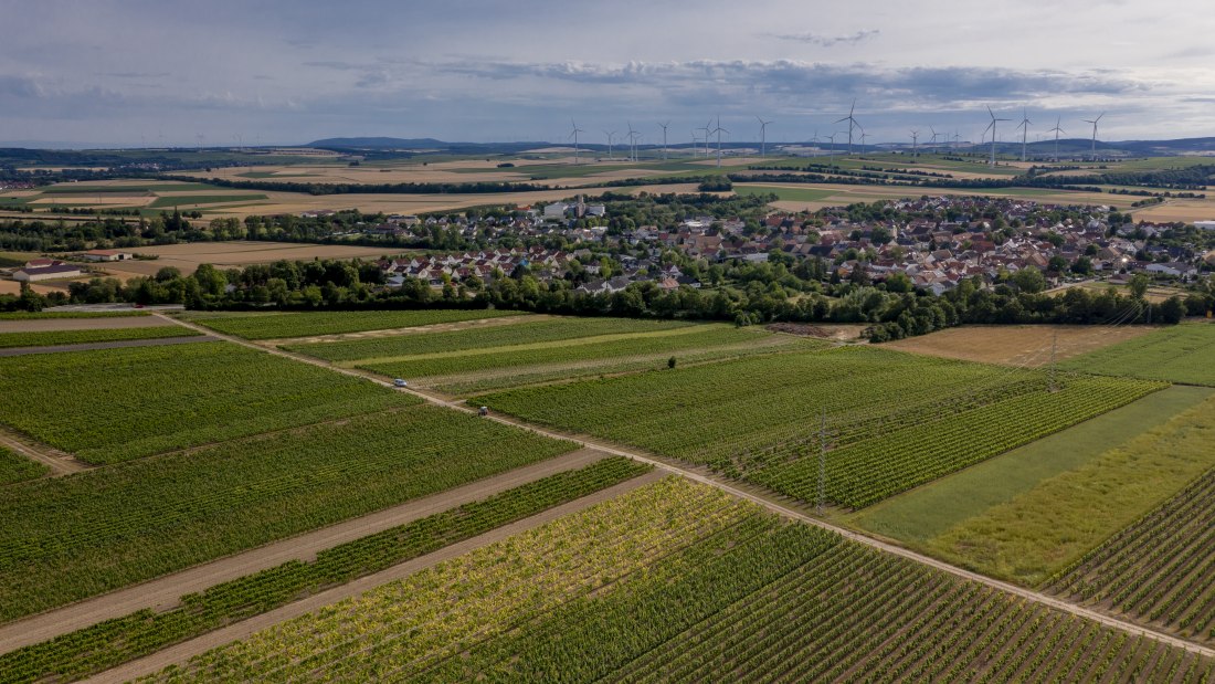 Wallertheimer Vogelsang-DJI_0774, © Rheinhessenwein e.V., Torsten Silz Wallertheimer Vogelsang-DJI_0774, © Rheinhessenwein e.V., Torsten Silz