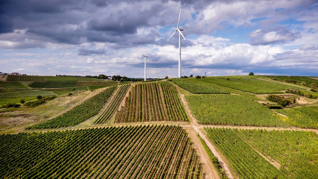 Hahnheimer Knopf Hahnheimer Knopf