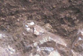 Vulkanstein Braunerde, © Landesamt für Geologie und Bergbau Rheinland-Pfalz Vulkanstein Braunerde, © Landesamt für Geologie und Bergbau Rheinland-Pfalz