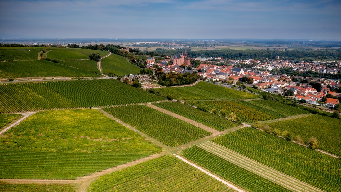 Oppenheimer Sackträger Oppenheimer Sackträger