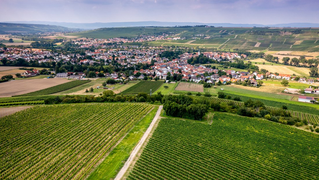 Stadecker Spitzberg Stadecker Spitzberg