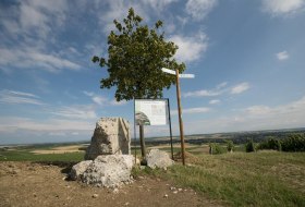 Letzte Betonreste der Selzstellung © Dominik Ketz Letzte Betonreste der Selzstellung © Dominik Ketz