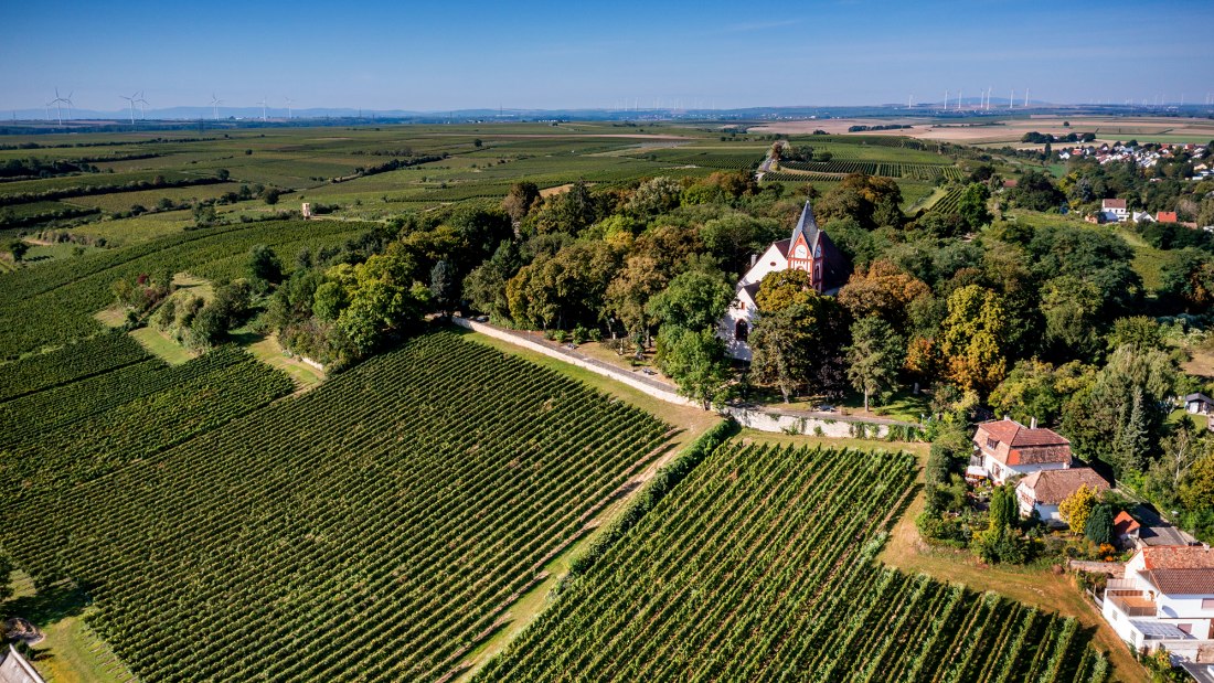 Osthofener Goldberg Osthofener Goldberg