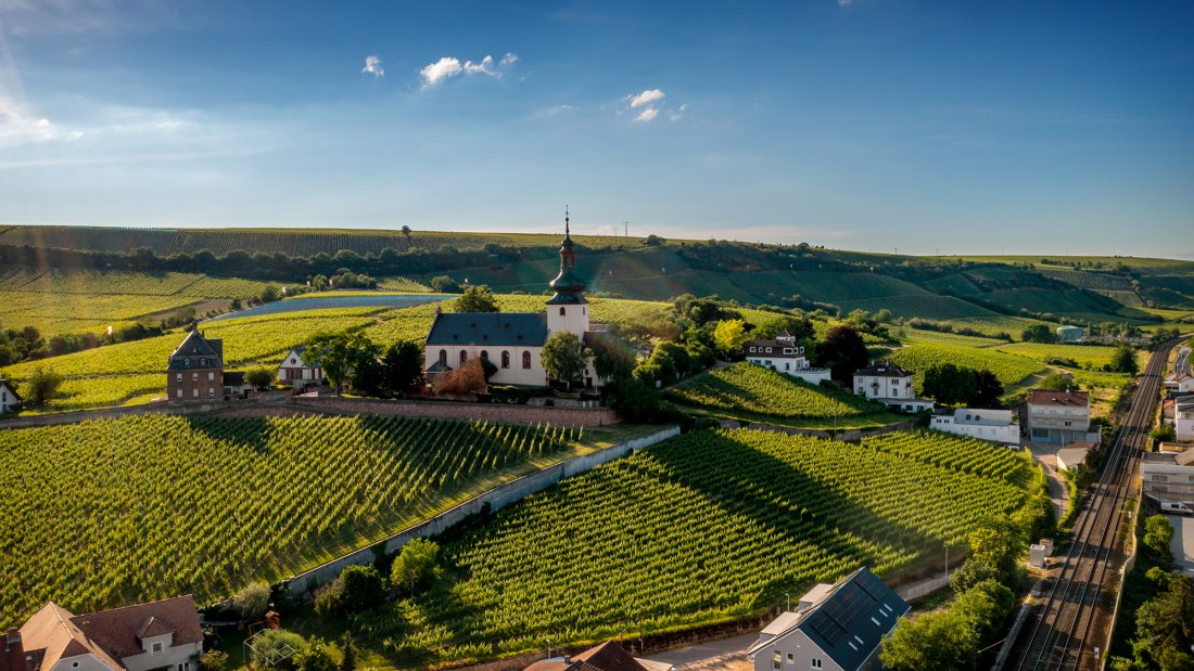 Niersteiner Glöck Niersteiner Glöck