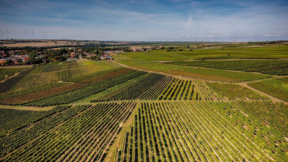 Eppelsheimer Felsen Eppelsheimer Felsen