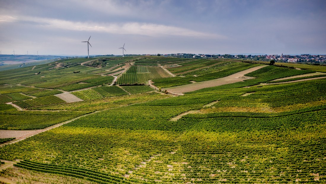 Selzener Osterberg Selzener Osterberg