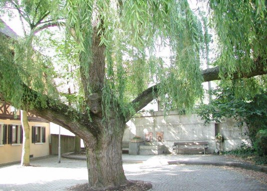 Brunnenplatz Ensheim Brunnenplatz Ensheim