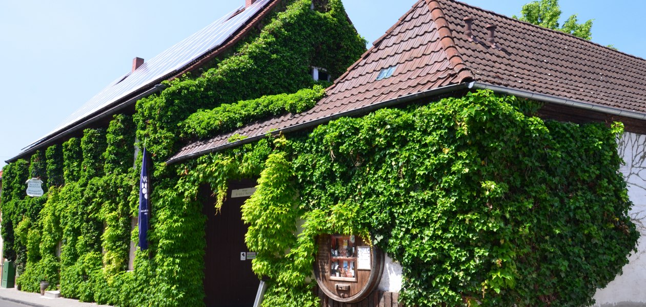 &Ouml;koweingut Arndt F. Werner_Weingut, &copy; &Ouml;koweingut Arndt F. Werner