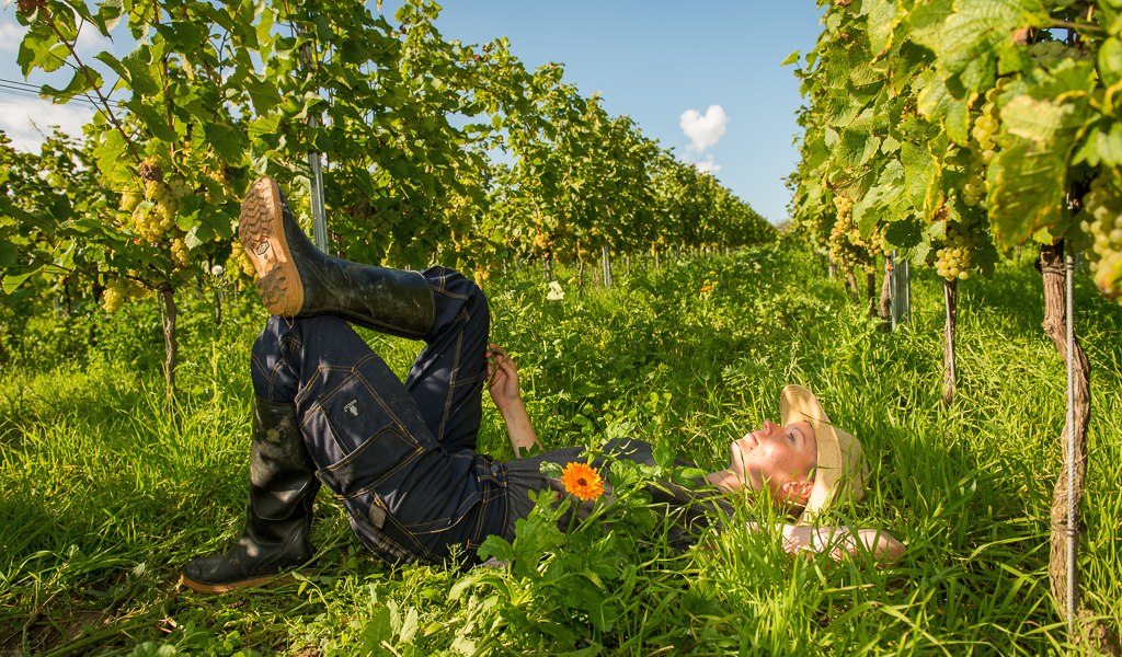 Weingut Sch&ouml;nhals_Gru&uuml;eberufe, &copy; Weingut Sch&ouml;nhals