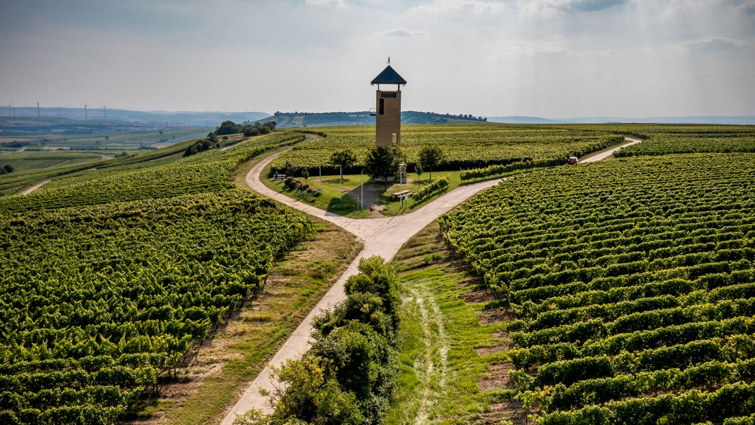 Vendersheimer Sonnenberg