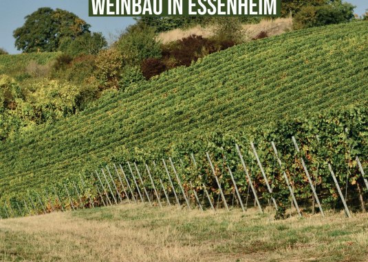 Spaziergang Essenheim © Christian Wagner