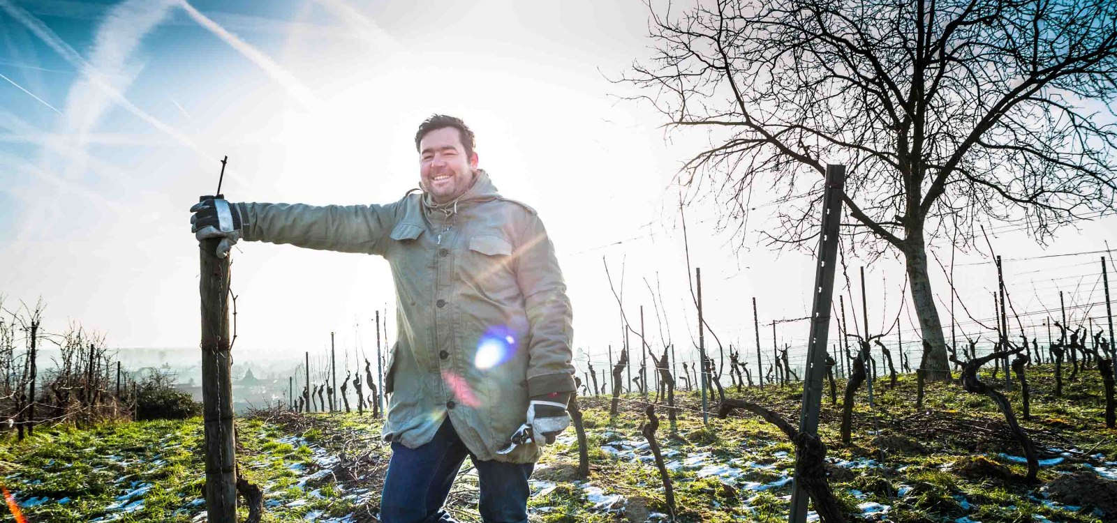 Hiestand_Winzer Reben, &copy; Hiestand