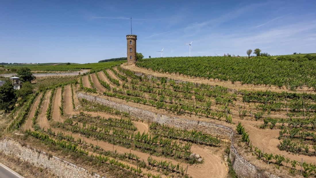 Weinheimer Heiliger Blutberg, &copy; Torsten Silz