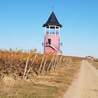 Burgunderturm mit schöner Aussichtsplattform