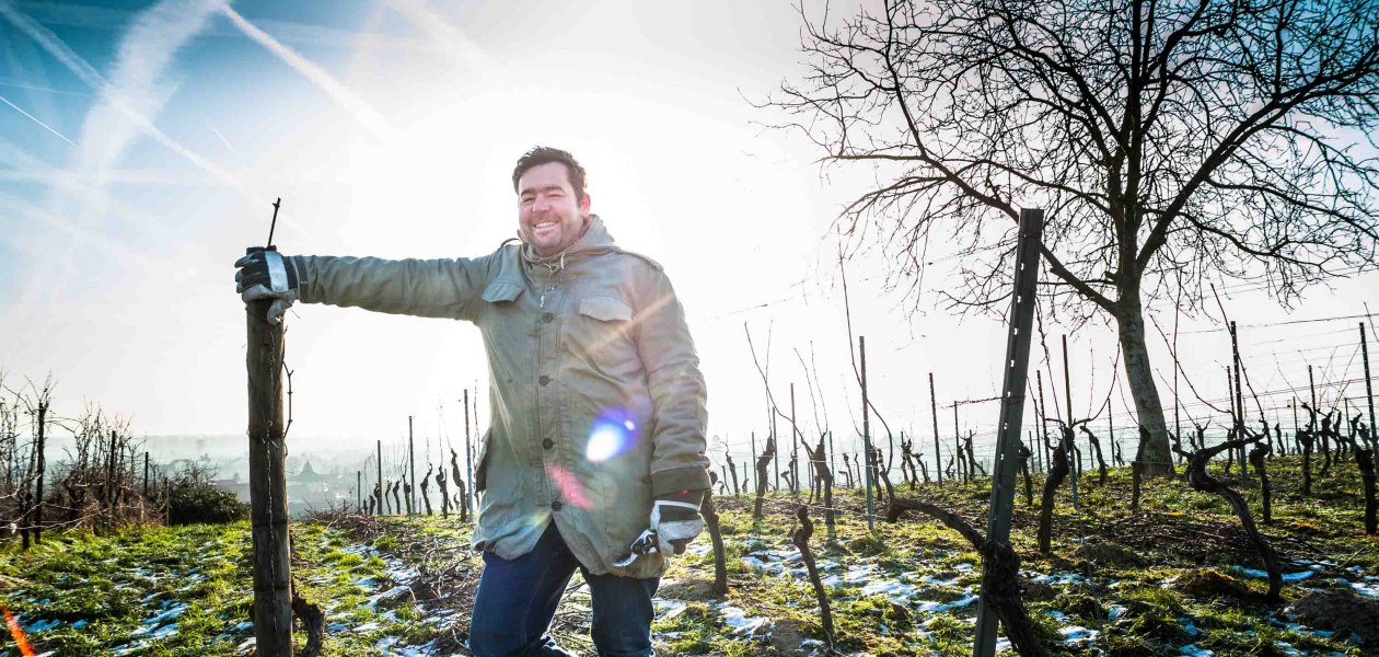 Hiestand_Winzer Reben, &copy; Hiestand