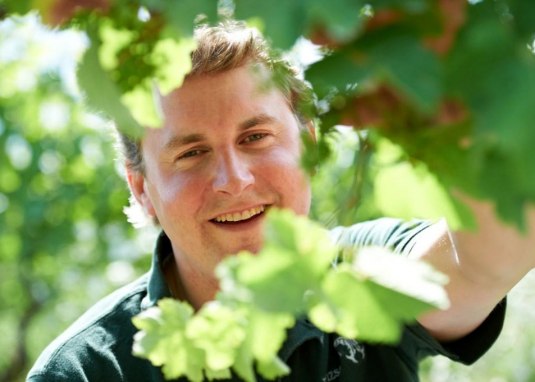 Prinz zu Salm-Dalberg'sches_Felix im Weinlaub &copy; Prinz zu Salm-Dalberg'sches