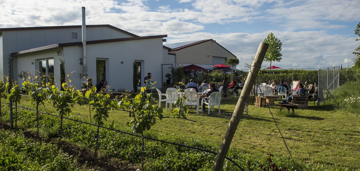 Weingut Kiefer_Drau&szlig;en, &copy; Weingut Kiefer