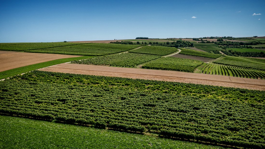 Klein-Winternheimer Geiersh&ouml;lle
