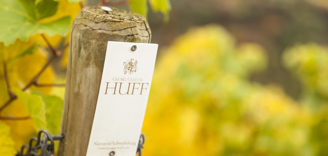 Weingut Georg Gustav Huff_Weinberg, &copy; Weingut Georg Gustav Huff