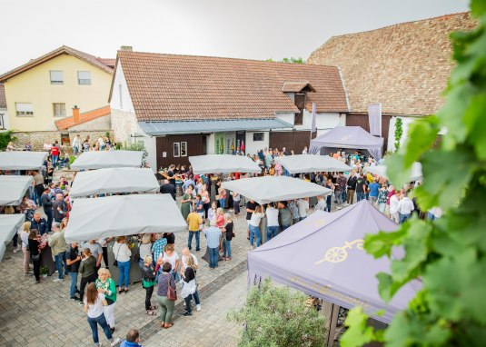 Feierabend im Weingut