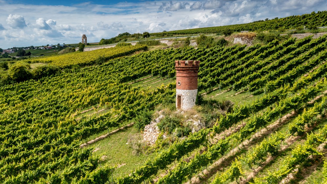 M&ouml;lsheimer Zellerweg am Schwarzen Herrgott