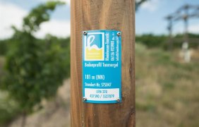 Schild "Bodenprofil Tonmergel" &copy; Dominik Ketz