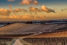 Weinberge im Winter &copy; Michael Kinzel