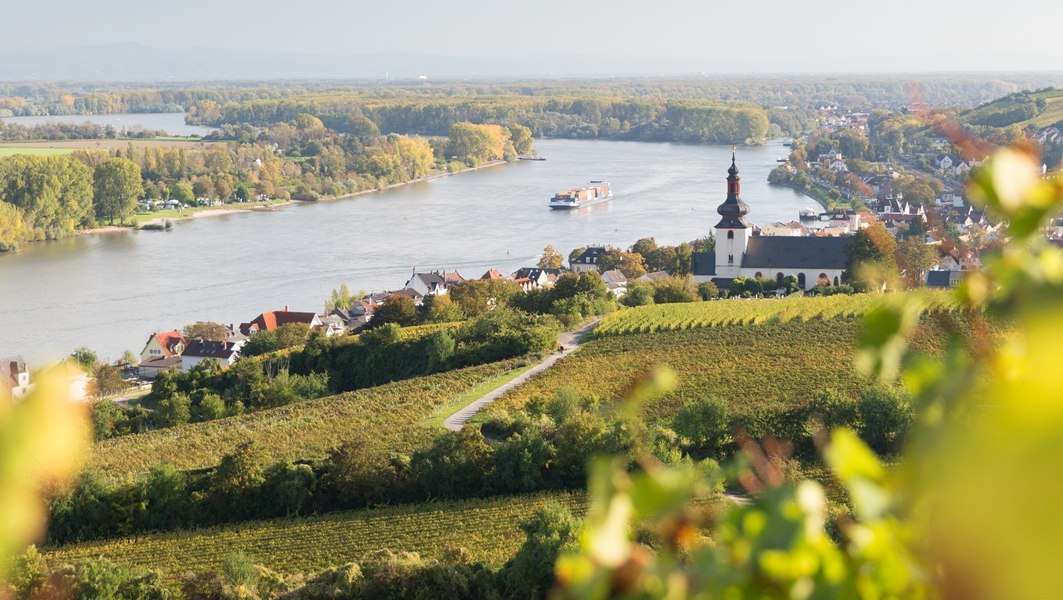Weingut Heise am Kranzberg_Rhein 2, &copy; Weingut Heise am Kranzberg