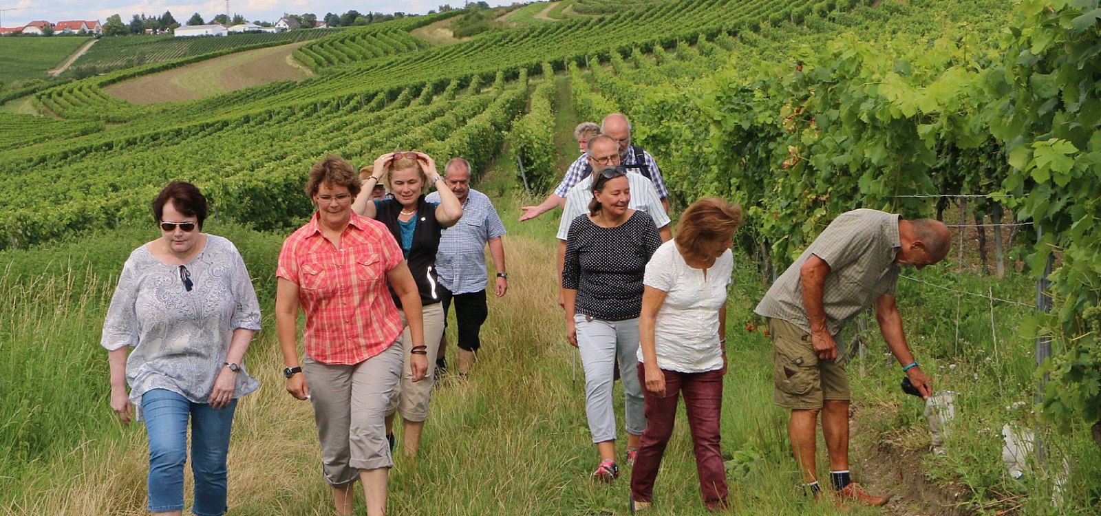 Weinbergsspaziergang, © Angelika Friedrich